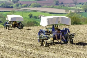 Njemačka: Upitno preko 280.000 sezonskih radnika u poljoprivredi