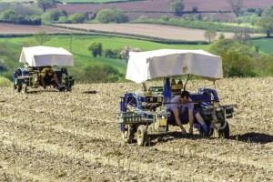 Njemačka: Upitno preko 280.000 sezonskih radnika u poljoprivredi