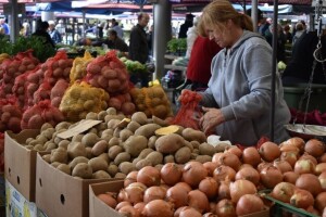 Skupa sadnja luka i krompira - manje povrća na jesen?