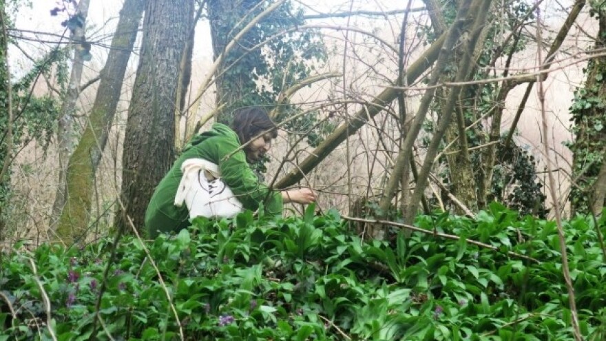 Na Okiću saznajte sve o medvjeđem luku!