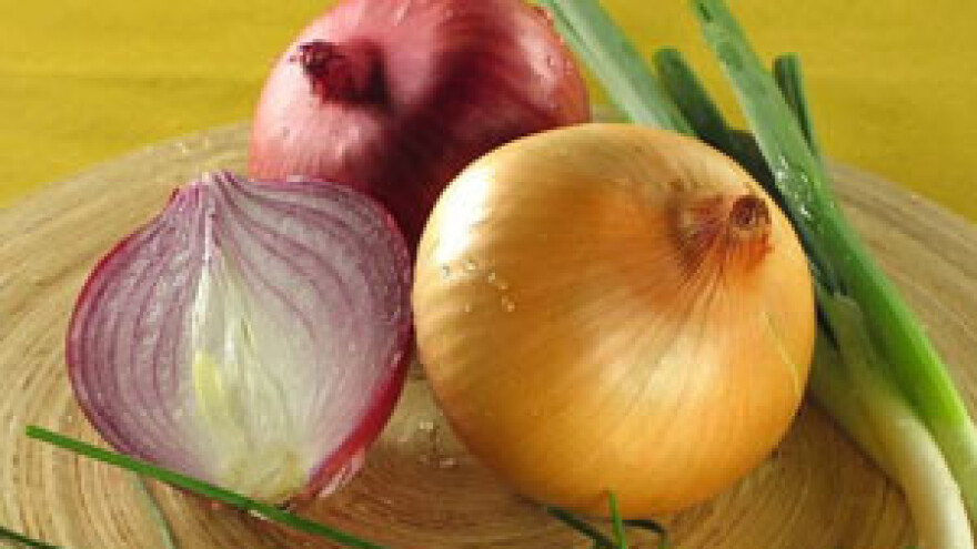 Rekordni prinosi luka u PIK-u