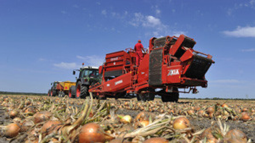 Otvoreno suvremeno paletno skladište za sušenje i skladištenje povrća PIK-a Vinkovci u Lipovcu