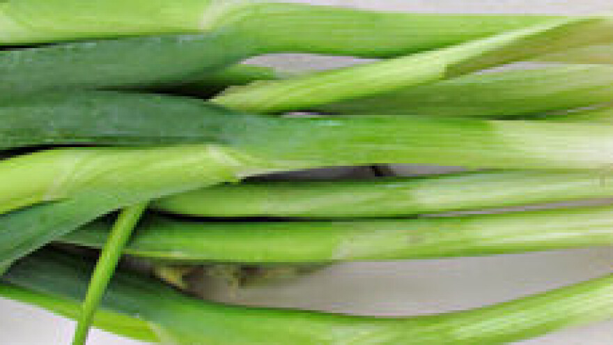 Zaštita luka u Međimurju