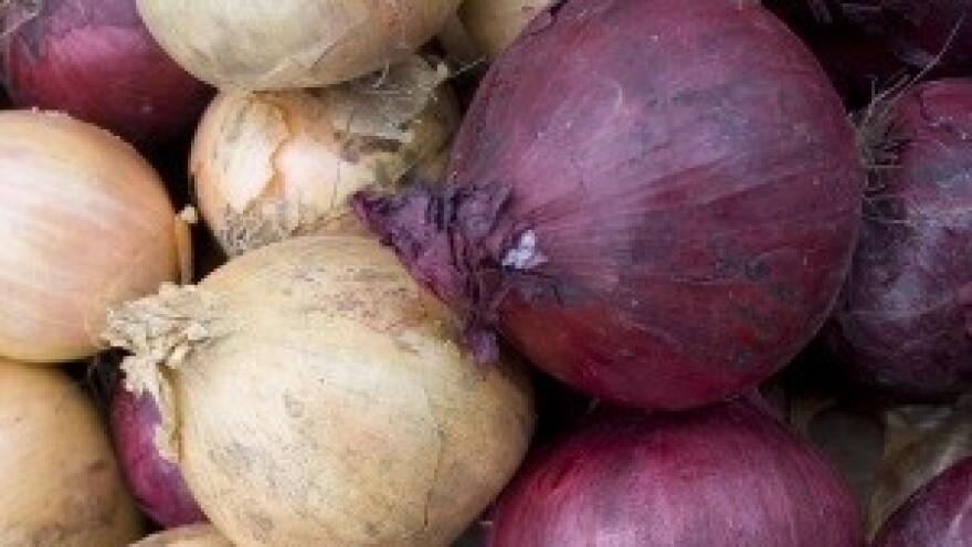 Kreće se s primjenom fiskalizacije na tržnicama