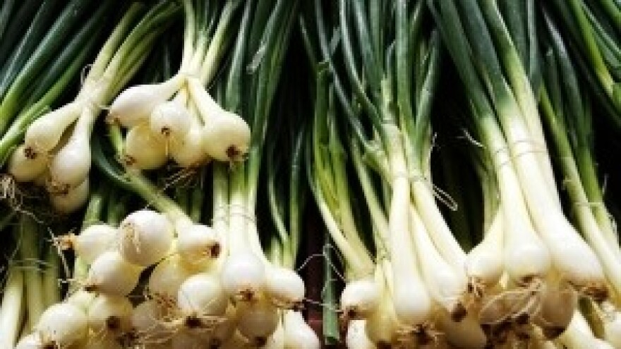 Folijarna prihrana luka