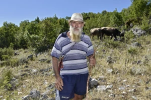 Pastira napao vuk ili vukopas: Svakakvih beštija sam vidio, ali tako što nikada