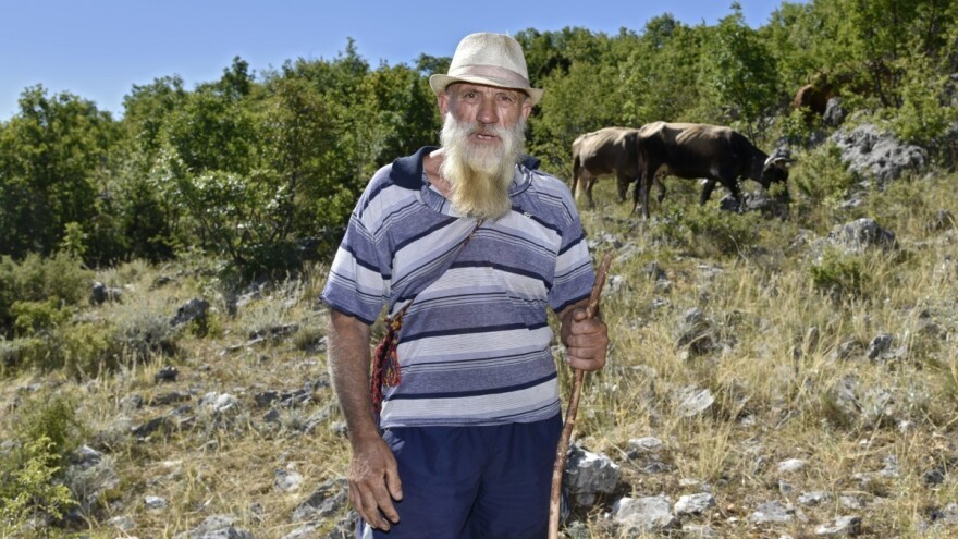 Pastira napao vuk ili vukopas: Svakakvih beštija sam vidio, ali tako što nikada