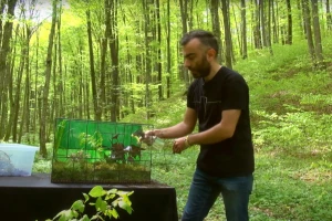 Kako napraviti i održavati biljni terarij?