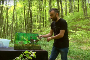 Kako napraviti i održavati biljni terarij?