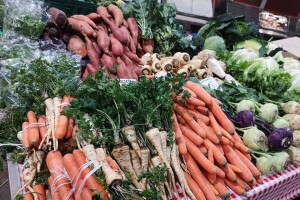 'Prođe li novi Zakon o sjemenu, nema više starinskih salata, matovilca, hrena'