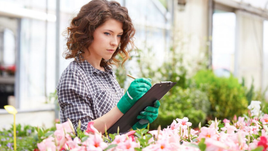 740 plastenika za uzgoj cvijeća, povrća i voća