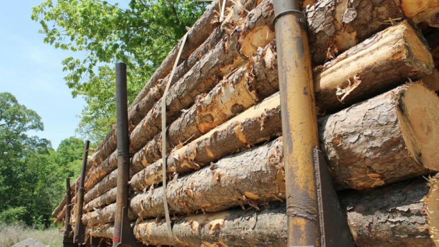 Drvoprerađivačima 2,2 milijuna kubika trupaca