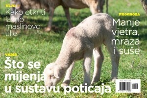 Časopis Maslinar - novi broj na kioscima