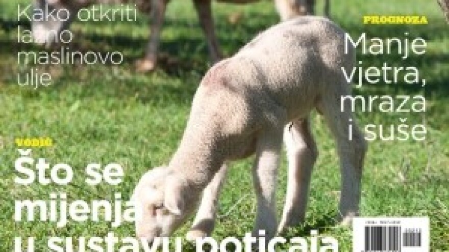 Časopis Maslinar - novi broj na kioscima