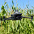 Kako se upotrebom drona u poljoprivredi štedi na raznim osnovama?