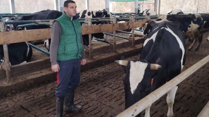 Prvi čovjek Mljekara Republike Srpske prodaje krave: 23 grla otišlo u Federaciju BiH