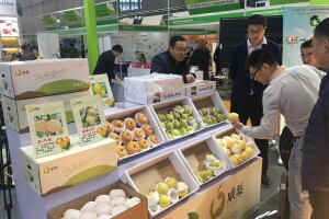 Macfrut 2019 - autentični međunarodni sajam