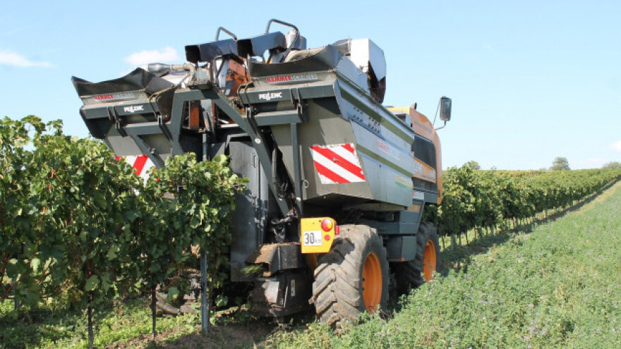 Zlatna berba 2016. u Kutjevo vinariji