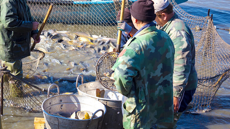 Mađarska će ulagati u ribarstvo!