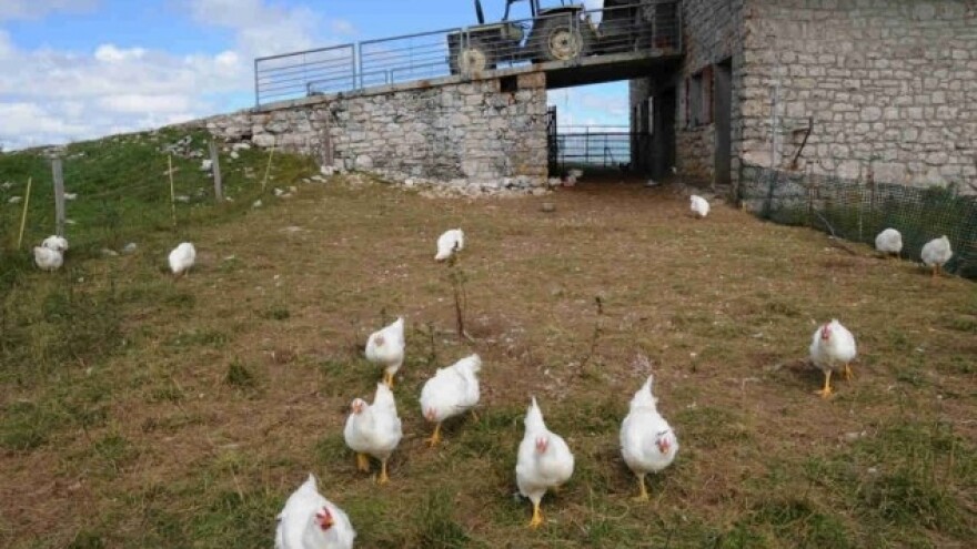 Mađarska štiti zemljište od stranaca!