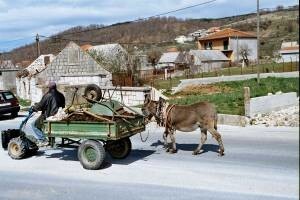 Čovjek i magarac