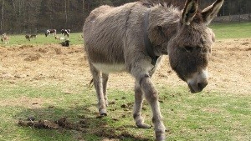 Tovari s državnim papirima