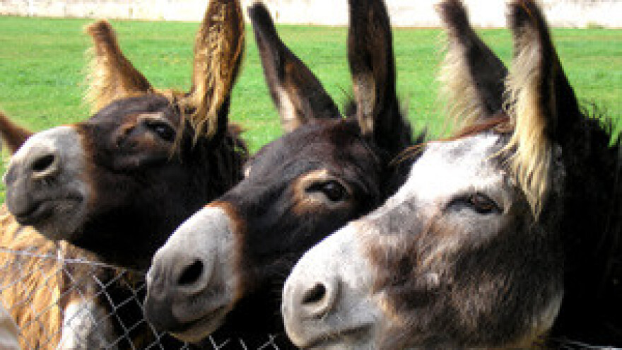 Na ranču Dar-Mar povećao se broj tovara