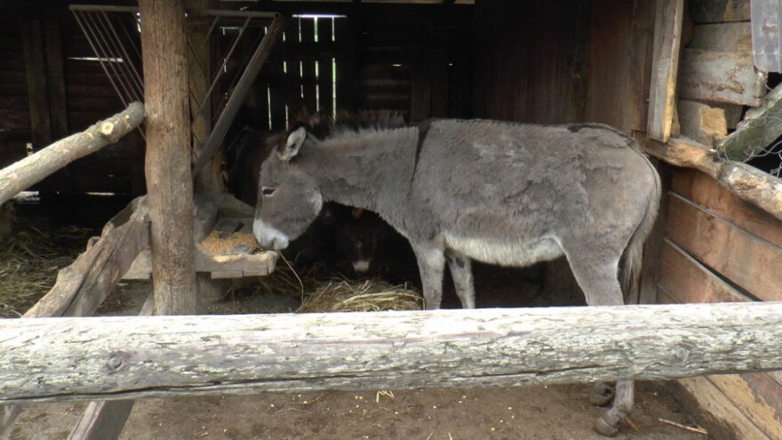 Dan magaraca - promocija delikatesa