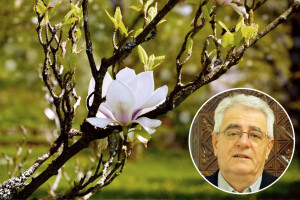 I službeno stiže proljeće! Kakvo nas vrijeme očekuje ovaj tjedan?