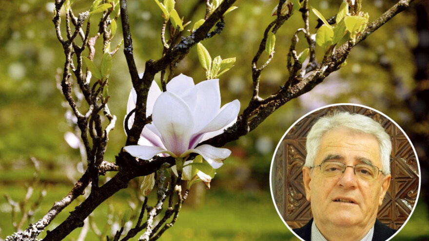 I službeno stiže proljeće! Kakvo nas vrijeme očekuje ovaj tjedan?