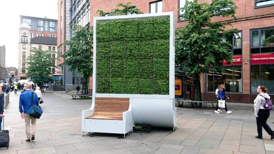 Filteri od mahovine: Gradska šuma koja ima moć čišćenja zagađenog zraka