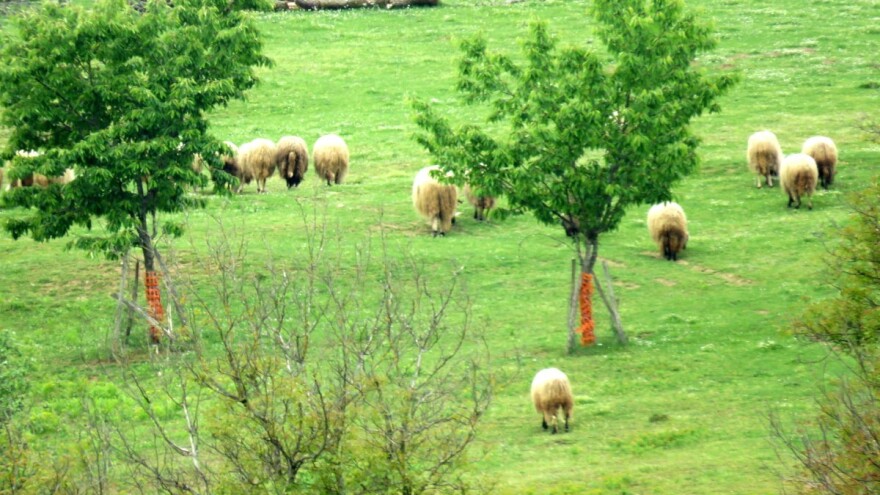 Detaljna prognoza do petka - poljoprivrednici obratite pažnju