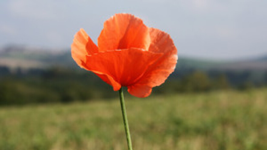 3. Syngentino savjetovanje za poljoprivredne apotekare