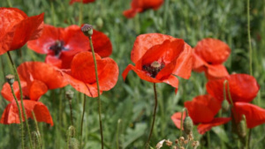 Potpisan sporazum između Sindikata i Projekt Gradnje