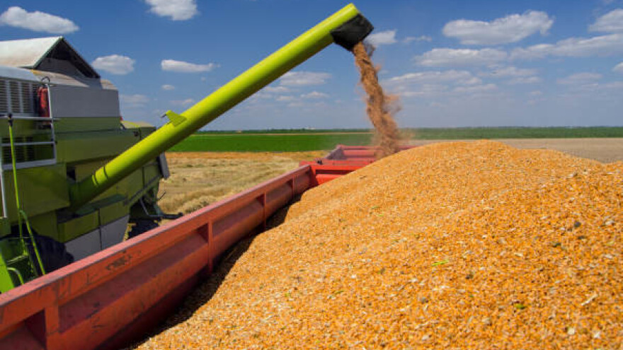 Makedonija će i ove godine uvoziti žito iz Srbije