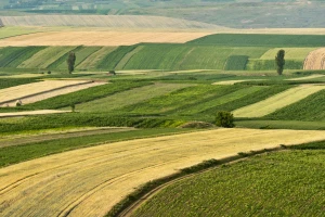 Makedonija zemljište daje u zakup i strancima