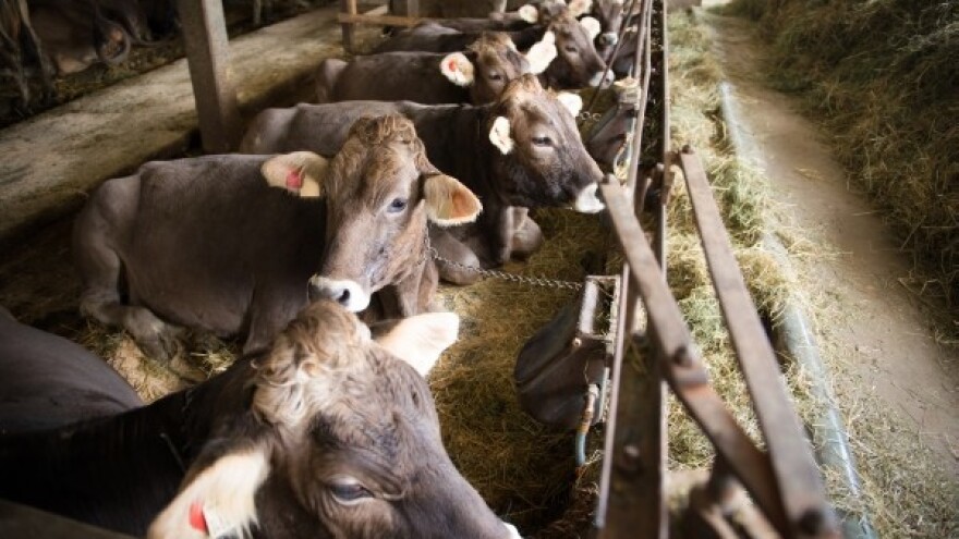 Cilj je potpora dohotku manje konkurentnih!