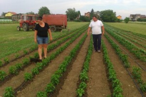 72 korisnika isplaćen novac za ruralne projekte
