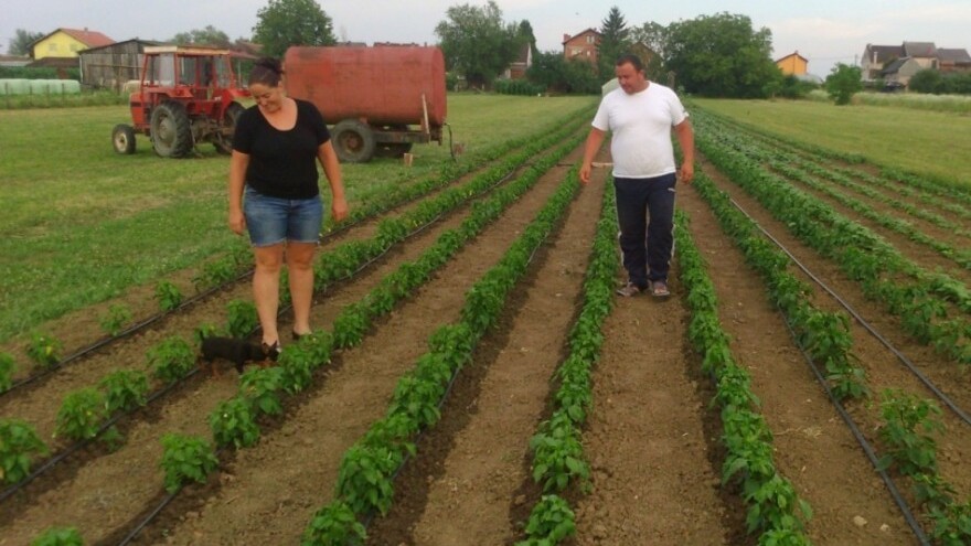72 korisnika isplaćen novac za ruralne projekte