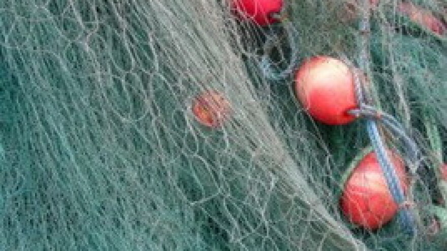 Od 1. ožujka zabranjuje se mali ribolov