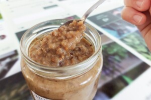 Evo osnovnog recepta za malidžano