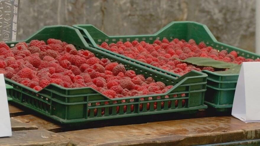 Pirova pobeda: Dobra cena maline, ali temperature smanjile rod