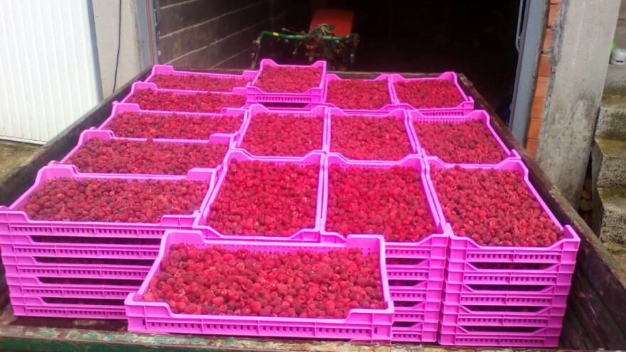 Malinar Mevludin Šabić: Vlasti bi trebale proglasiti stanje elementarne nepogode