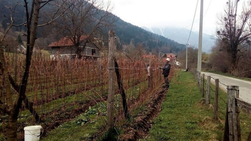 Uplaćeno više od 2 miliona KM premija poljoprivrednicima u RS