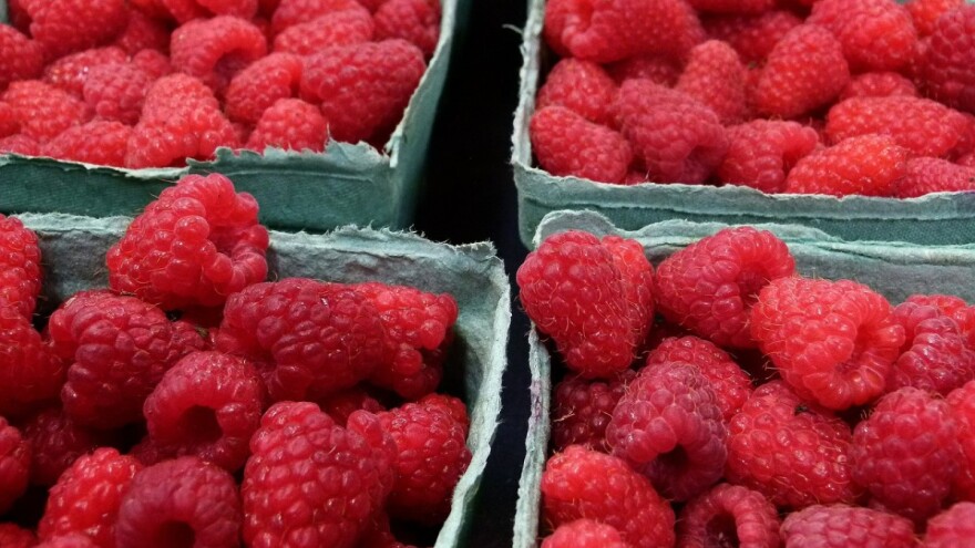 Godišnja konferencija pod motom pod motom "Očuvanje liderske pozicije maline u BiH"