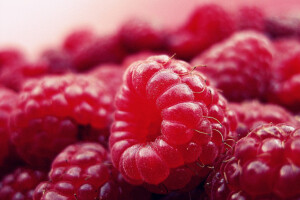 Nagodinu će cijena maline skočiti za tri puta?