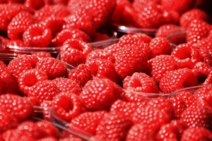 Kilogram maline u Poljskoj 389 dinara