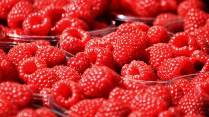 Kilogram maline u Poljskoj 389 dinara