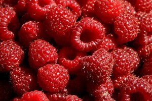 Hrvatske maline za Skandinaviju