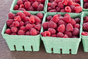 Malinari prenoćili ispred Natural Food-a